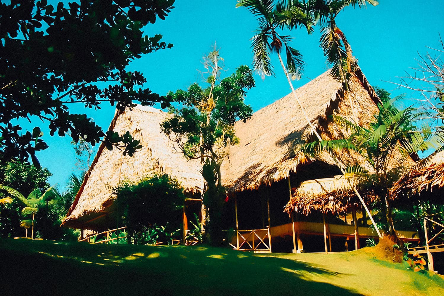 Amazonas Sinchicuy Lodge 2 days 2