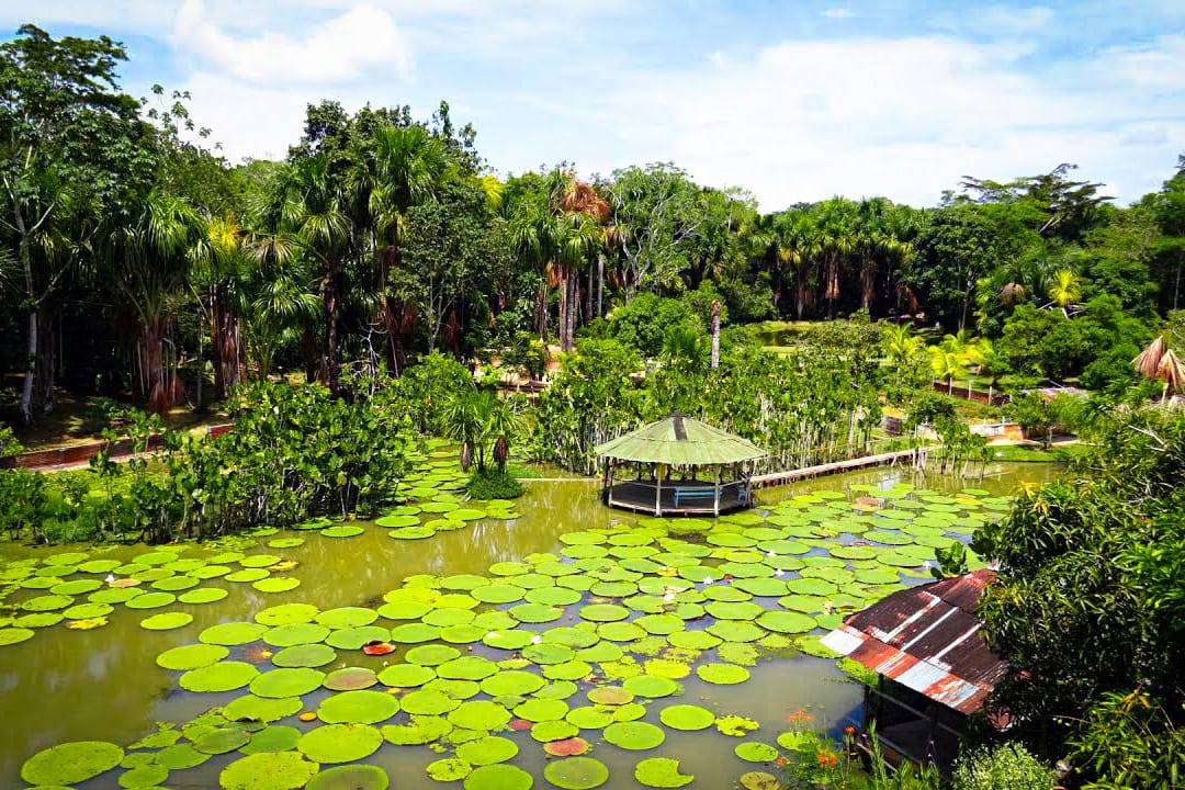 Amazonas Sinchicuy Lodge 2 days 4