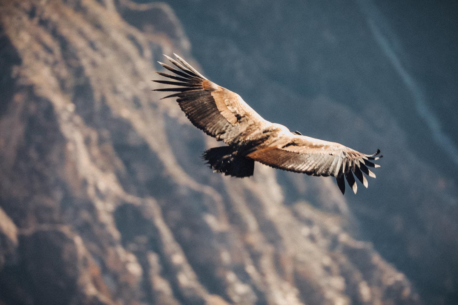 Best of Southern Peru 11 Days Adventure