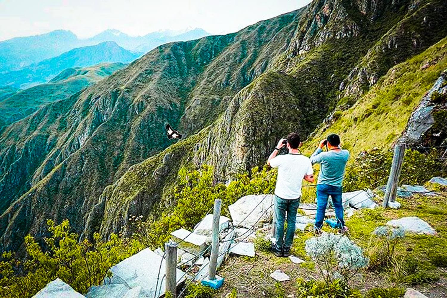 Chonta Condors Viewpoint Full Day