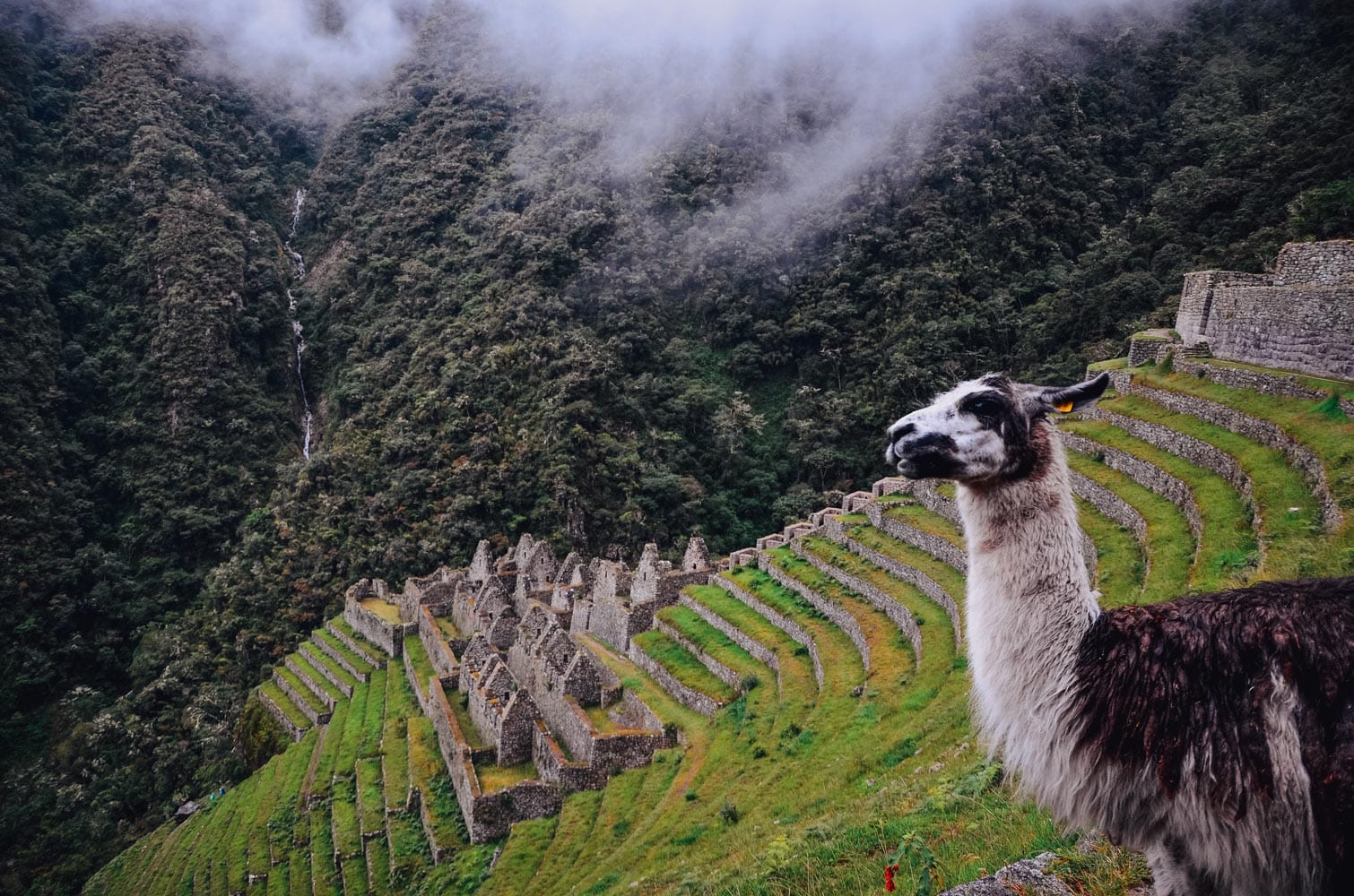 Cusco Eco Inca 12 Days