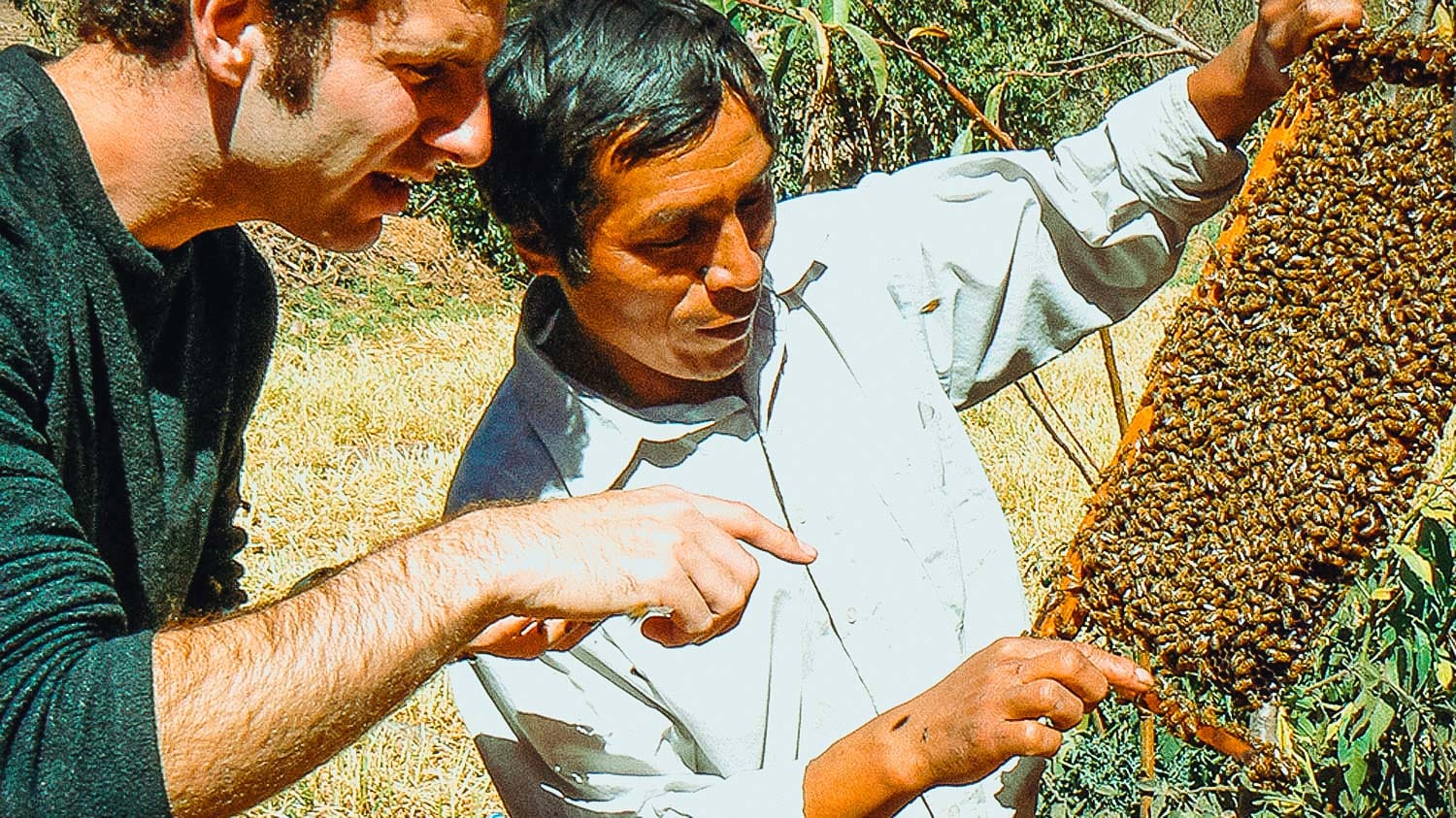 Experiential Tourism in the Chichubamba Community