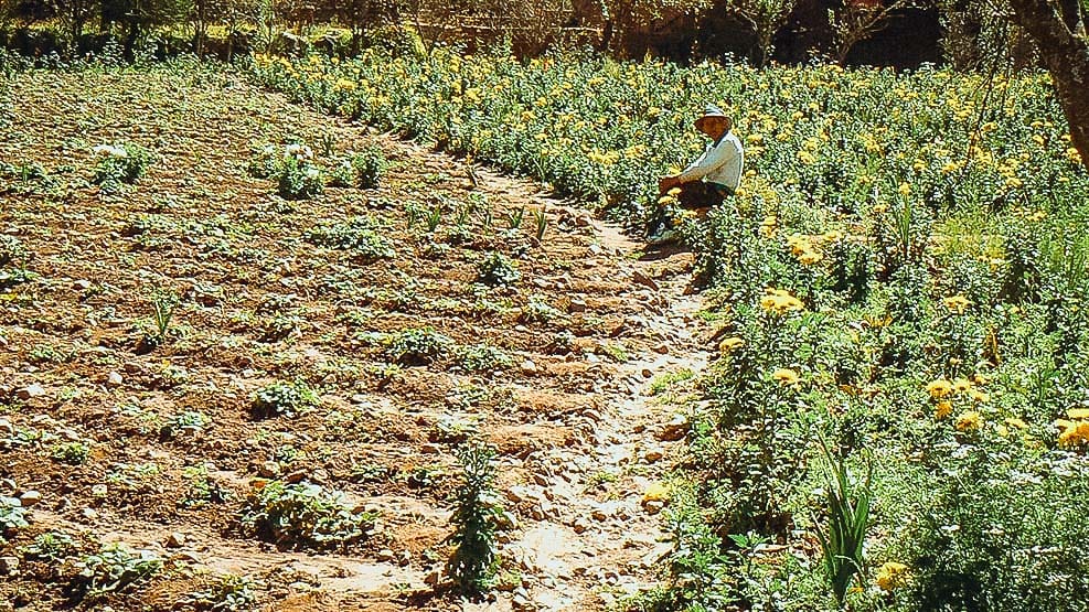 Experiential Tourism in the Chichubamba Community