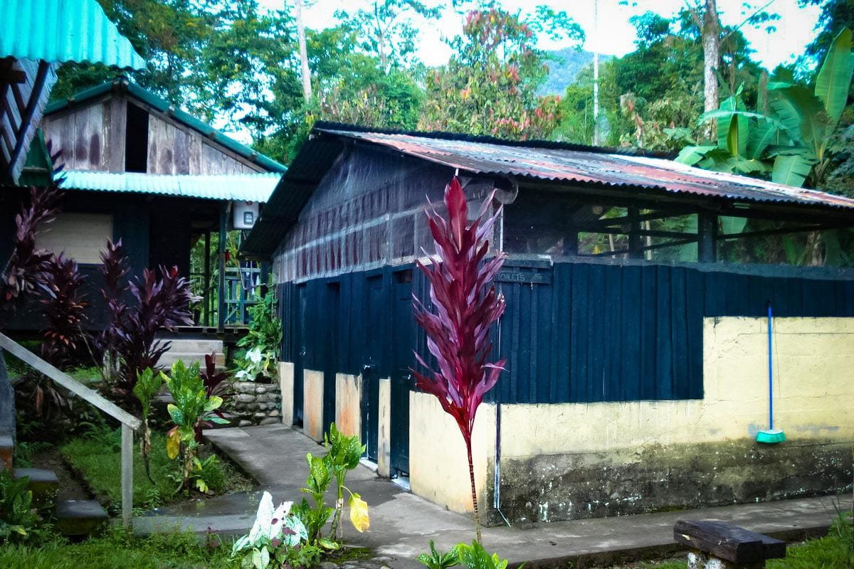 Manu Amazon National Park 4 Days 4