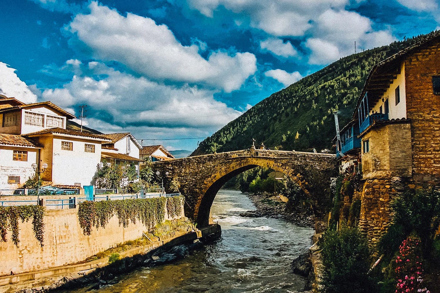 Manu Amazon National Park 4 Days 5