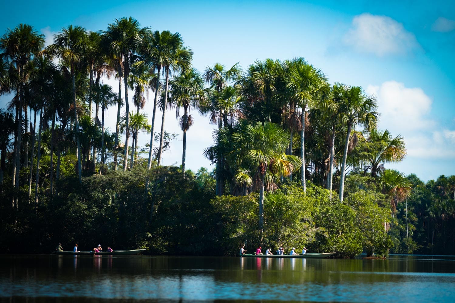 Puerto Maldonado Amazon Tour 2 Days 5