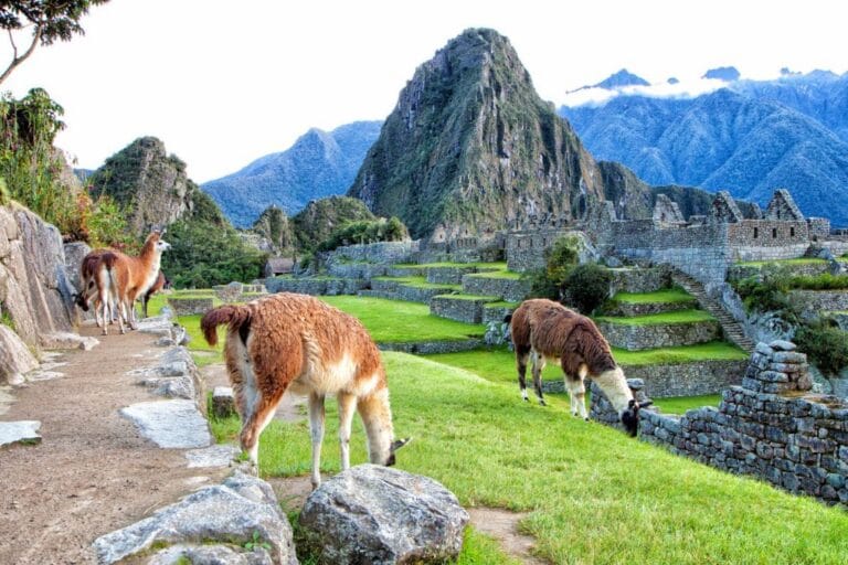 machu picchu